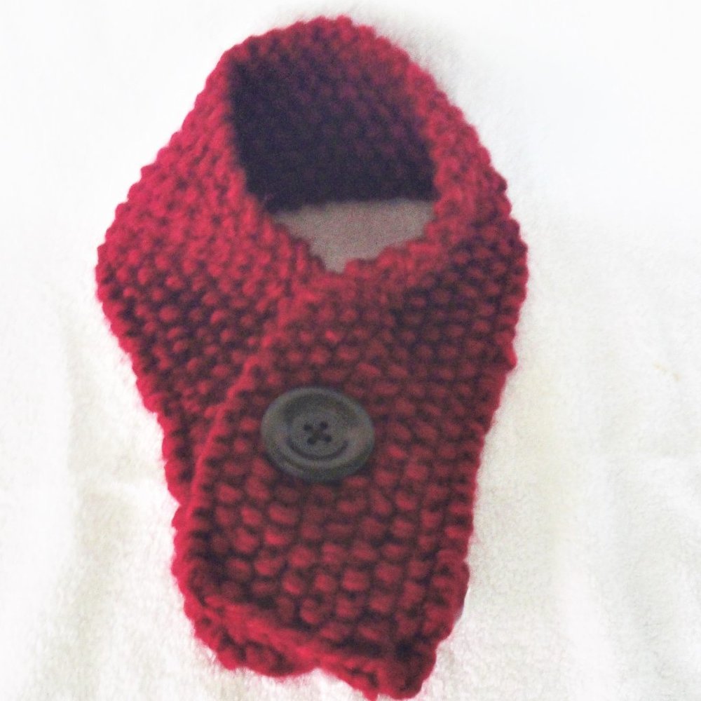 Fossil Red Knit Scarf NWT